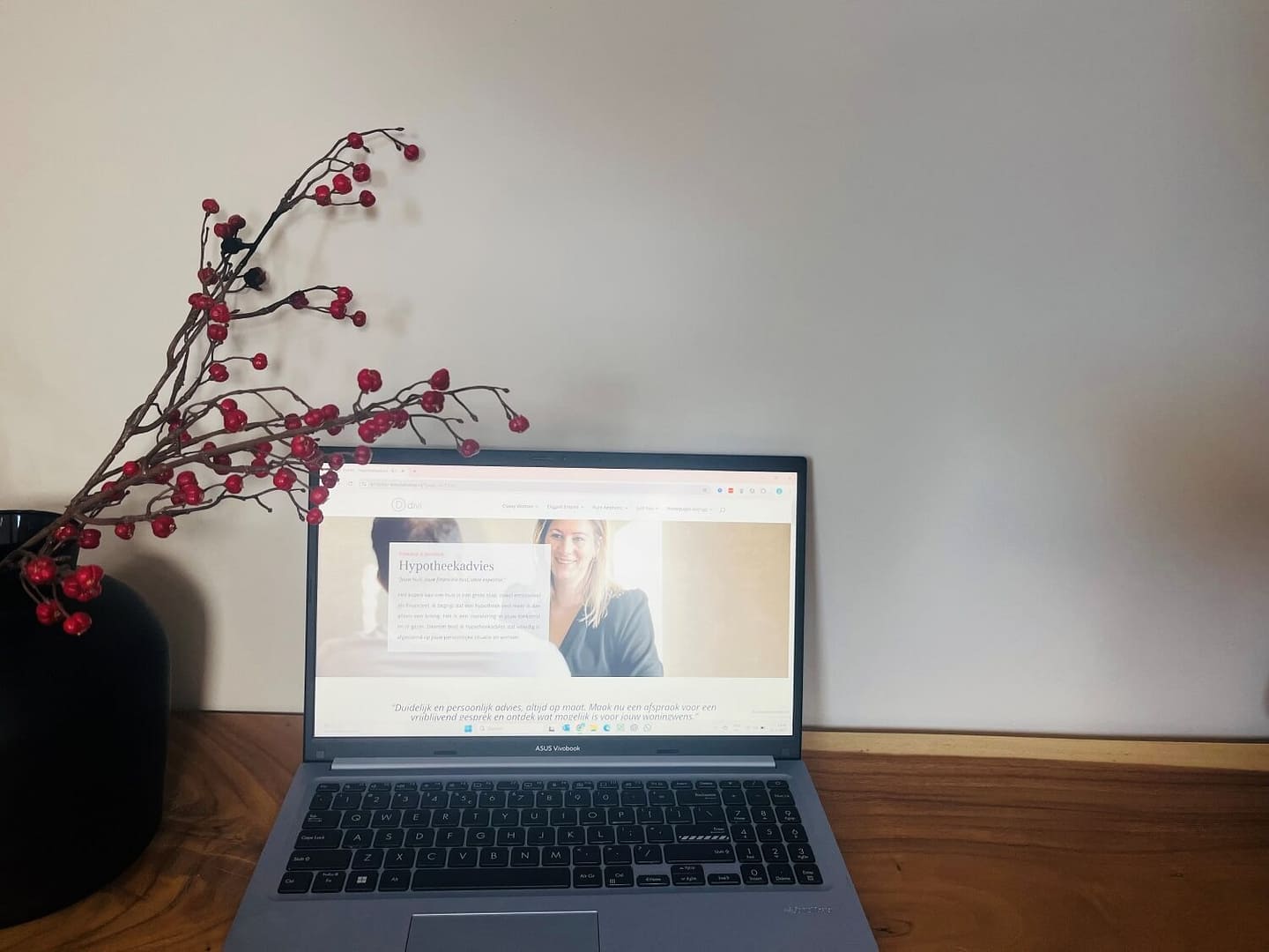 Financieeladviseur-laptop-1